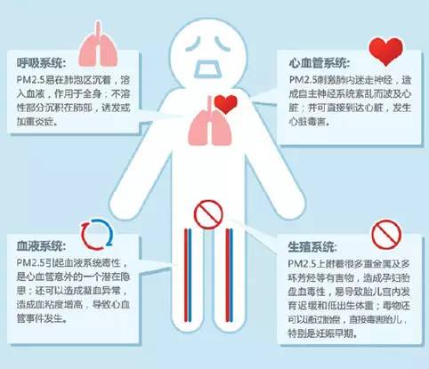 雾霾话题可能会出现在托福口语考试中（预测）